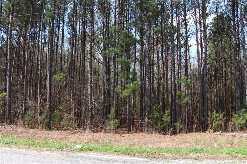 8.749 Hightower Road Fort Lawn, SC 29714 - Photo 3 of 3 Gallery Image 3