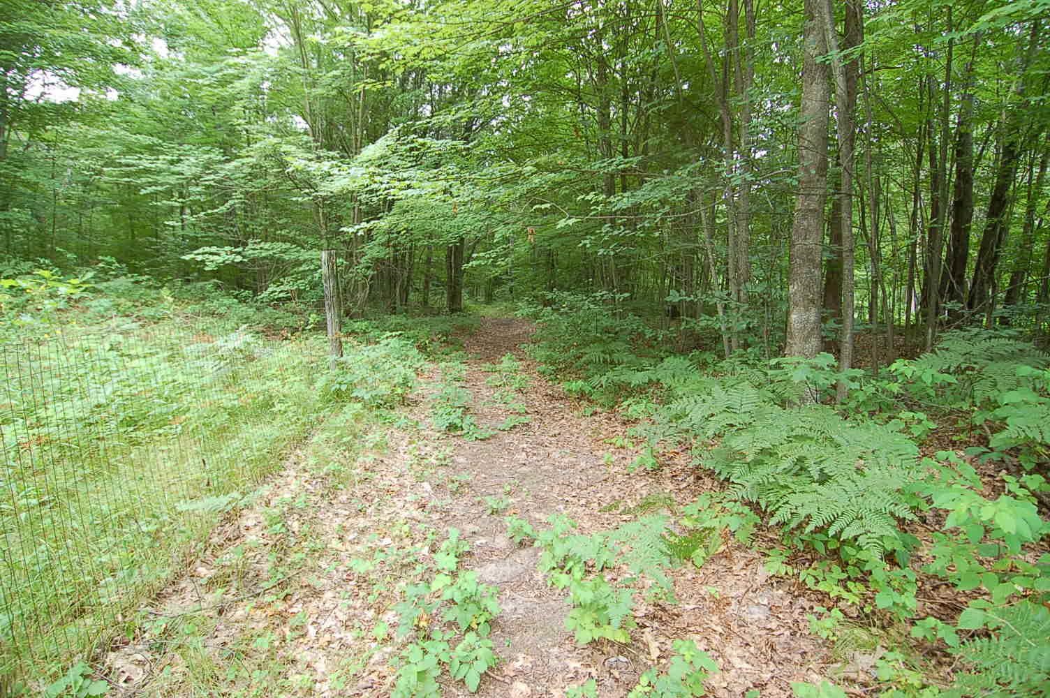11800 East 34 Road Cadillac, MI 49601 - Photo 20 of 21