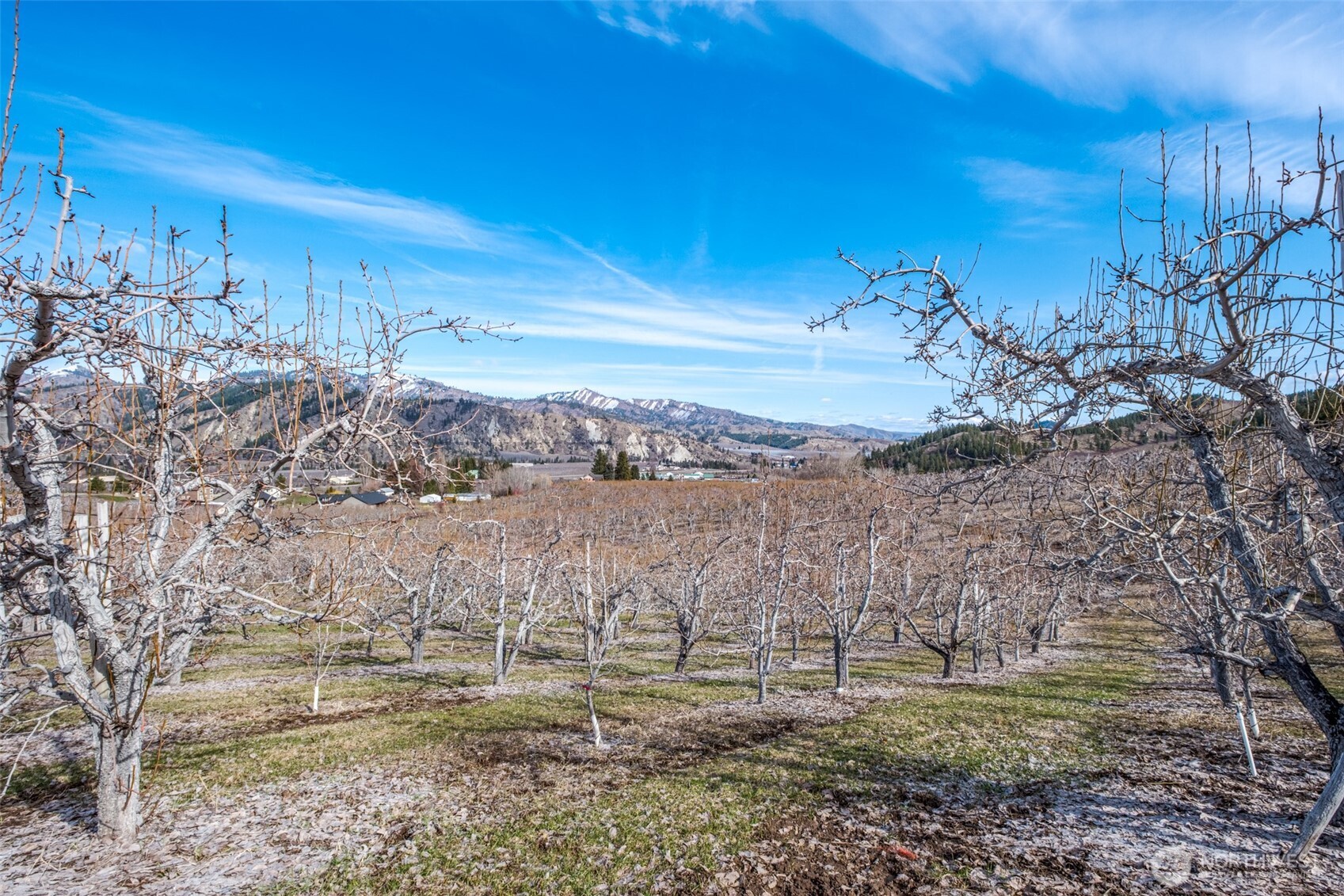 0 Rollercoaster Road Peshastin, WA 98847 - Photo 13 of 13 a view of a yard with wooden fence