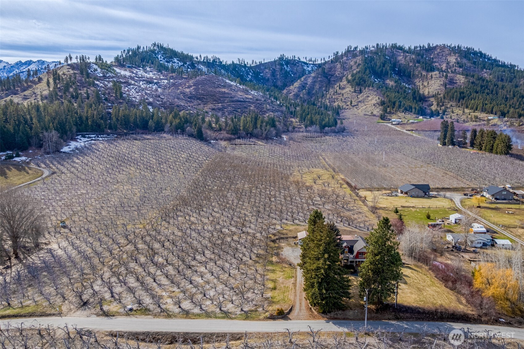 0 Rollercoaster Road Peshastin, WA 98847 - Photo 6 of 13 a view of a dry yard with mountain