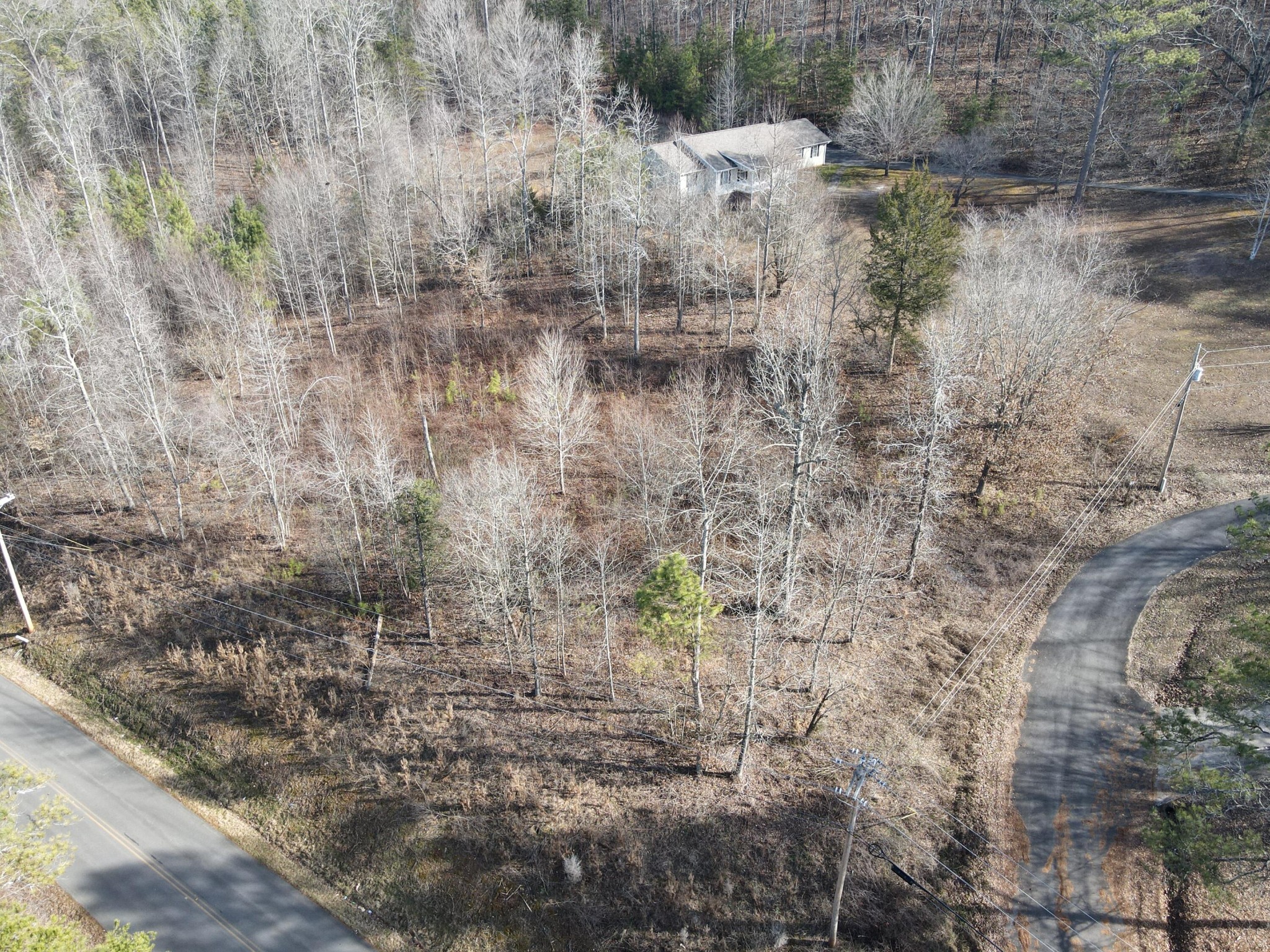 0 Northwest No Pone Road Georgetown, TN 37336 - Photo 2 of 7