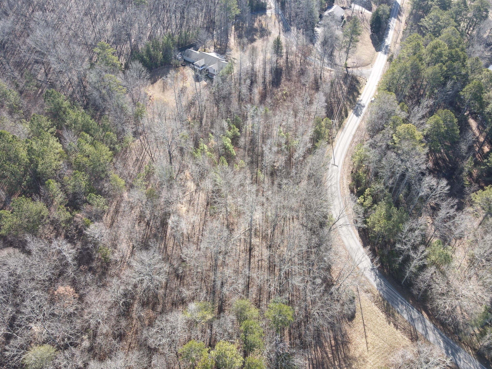 0 Northwest No Pone Road Georgetown, TN 37336 - Photo 6 of 7
