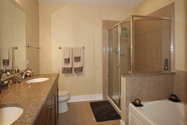 450 Village Center Drive, Unit 305 Burr Ridge, IL 60527 - Photo 8 of 10 a bathroom with a sink a tub and a mirror