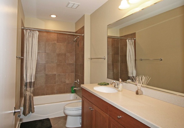 450 Village Center Drive, Unit 305 Burr Ridge, IL 60527 - Photo 10 of 10 a bathroom with a sink a toilet and shower