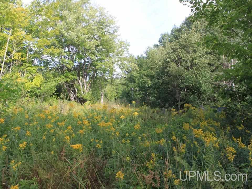 Tbd Shepards Ridge Road Lake Linden, MI 49945 - Photo 5 of 27 Gallery Image 5