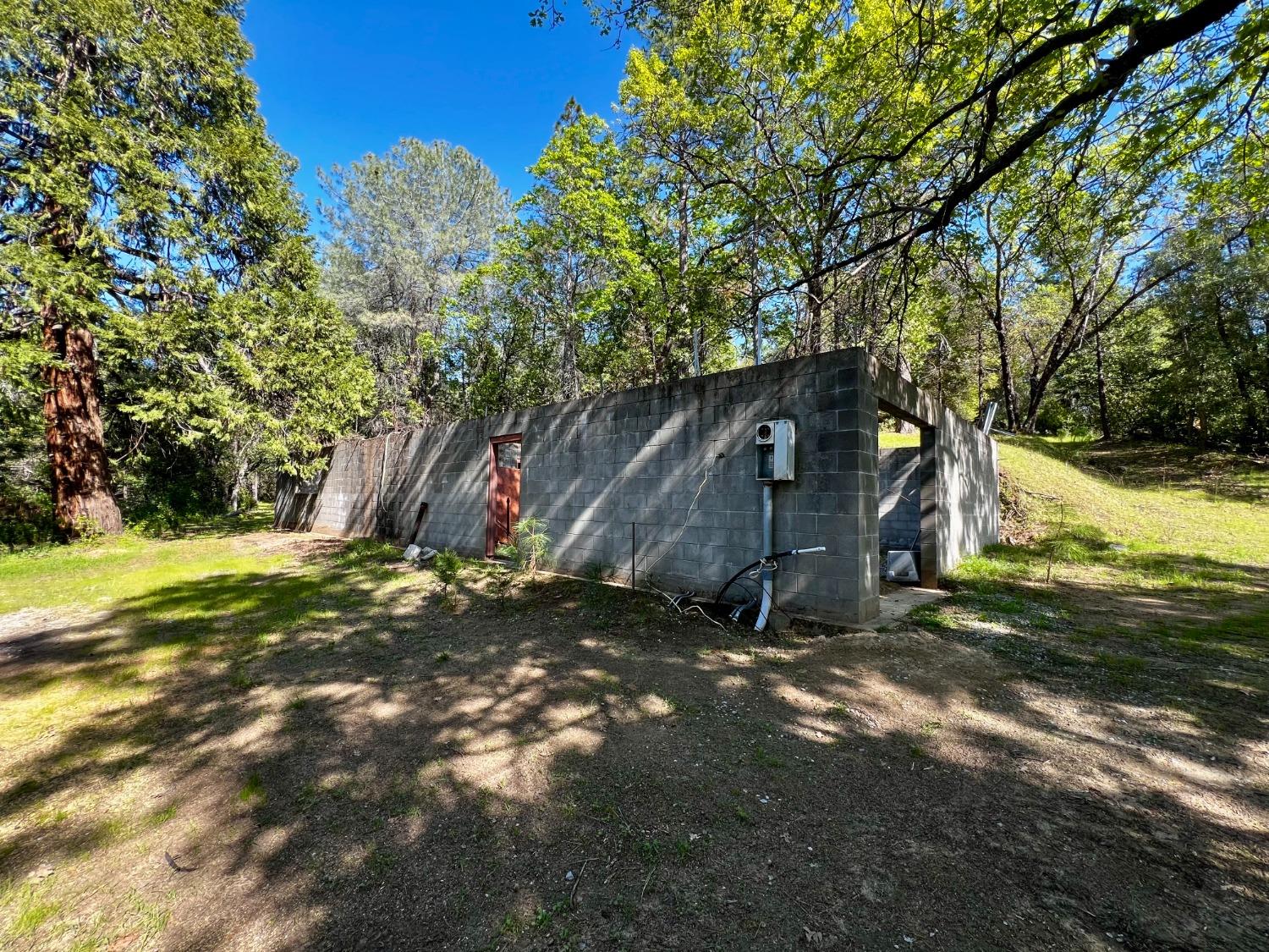 a view of a backyard with large tree