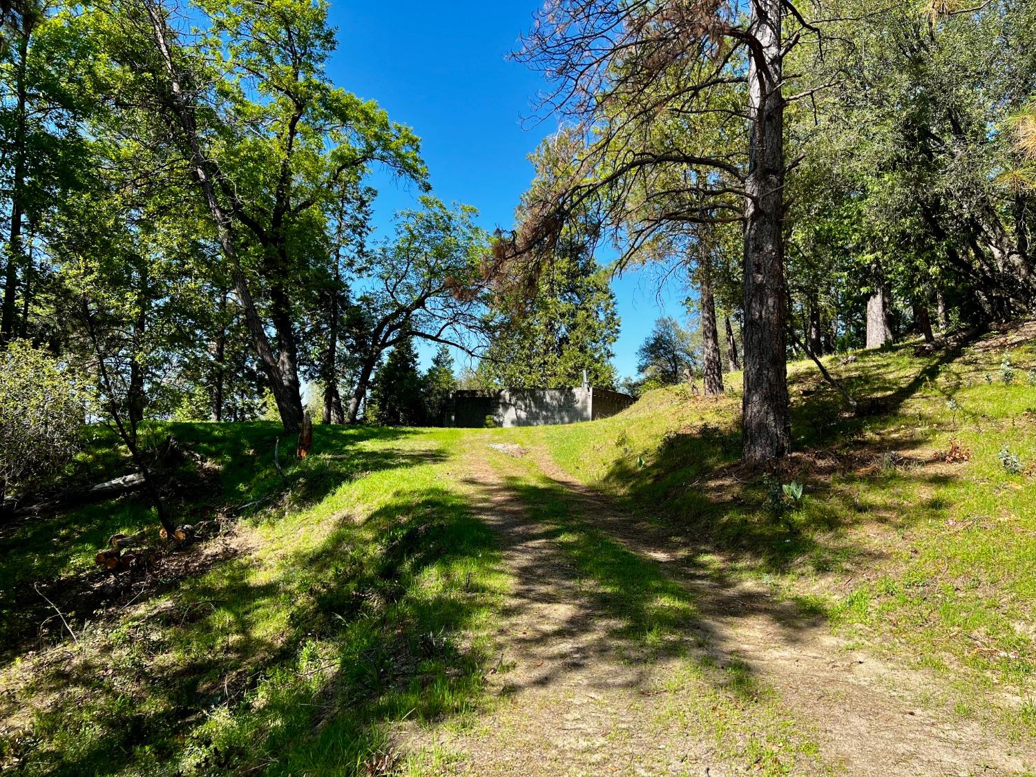 6294 Gray Rock Road Somerset, CA 95684 - Photo 11 of 35 a view of yard with large trees