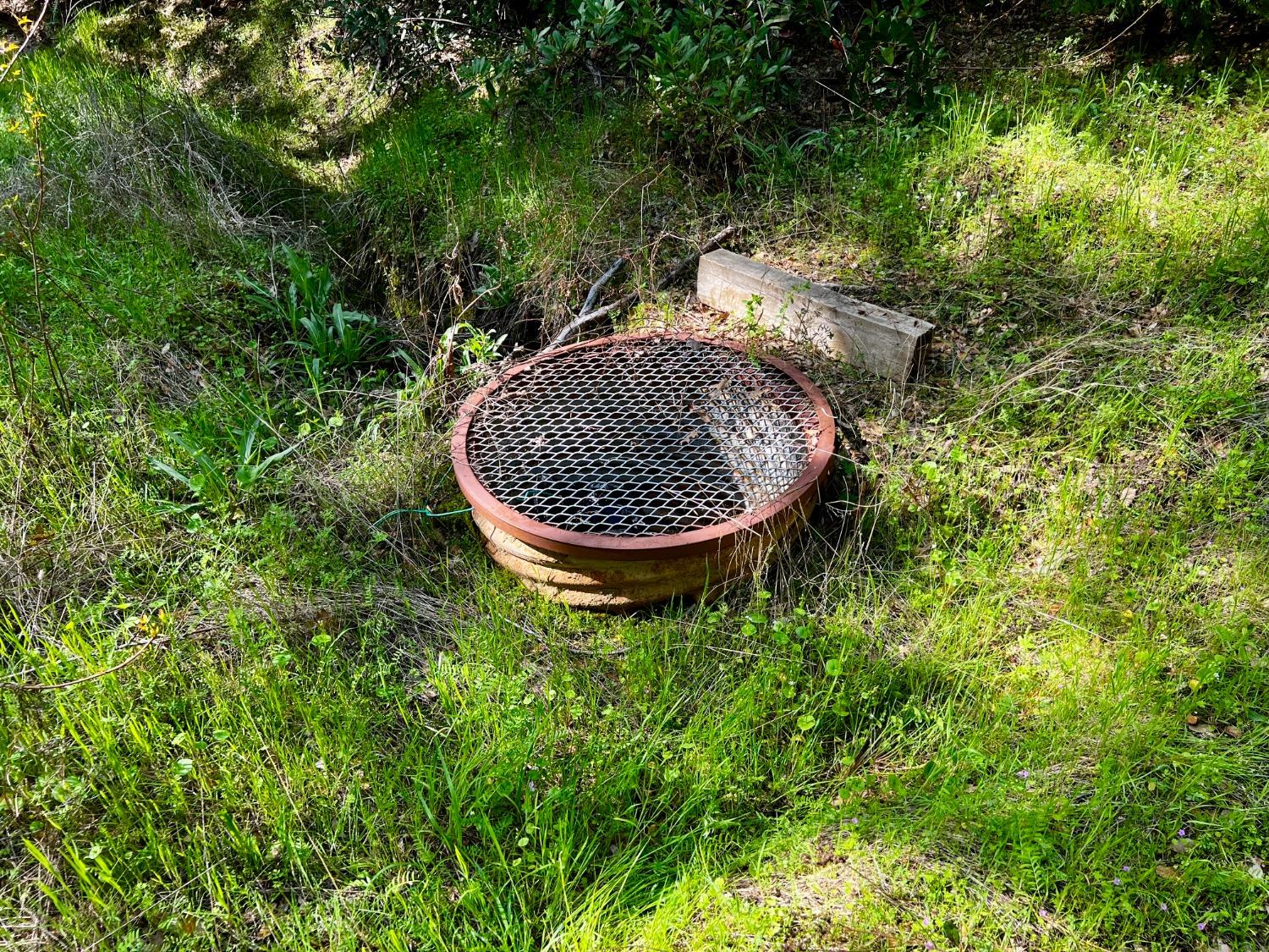 6294 Gray Rock Road Somerset, CA 95684 - Photo 12 of 35 a view of outdoor space and yard