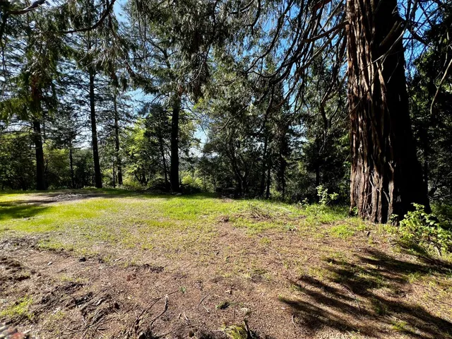 a view of a yard with a house
