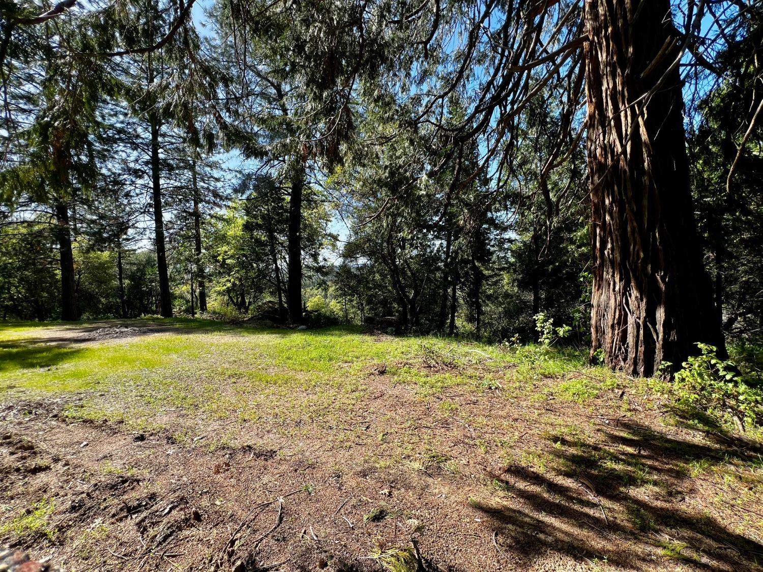 6294 Gray Rock Road Somerset, CA 95684 - Photo 13 of 35 a view of a yard with a house