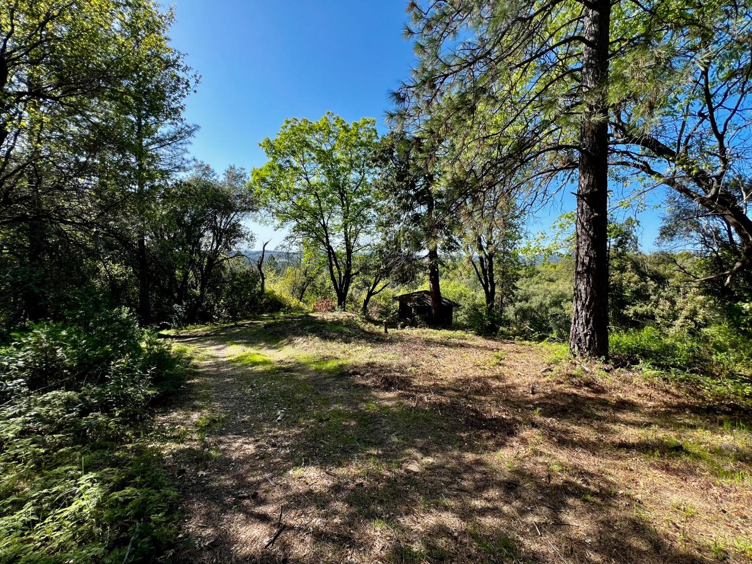 6294 Gray Rock Road Somerset, CA 95684 - Photo 14 of 35 a view of outdoor space with trees all around
