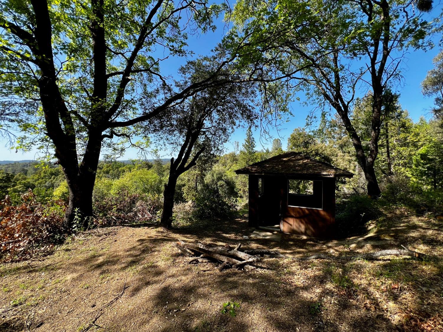 6294 Gray Rock Road Somerset, CA 95684 - Photo 15 of 35 a view of a tree in front of a house