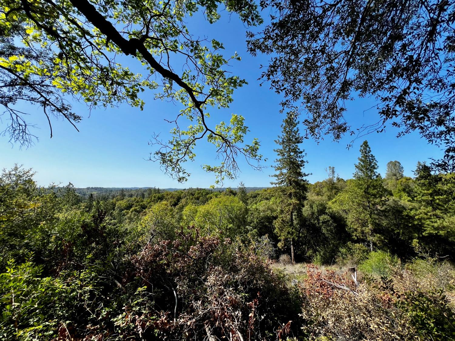 6294 Gray Rock Road Somerset, CA 95684 - Photo 16 of 35 a view of a yard