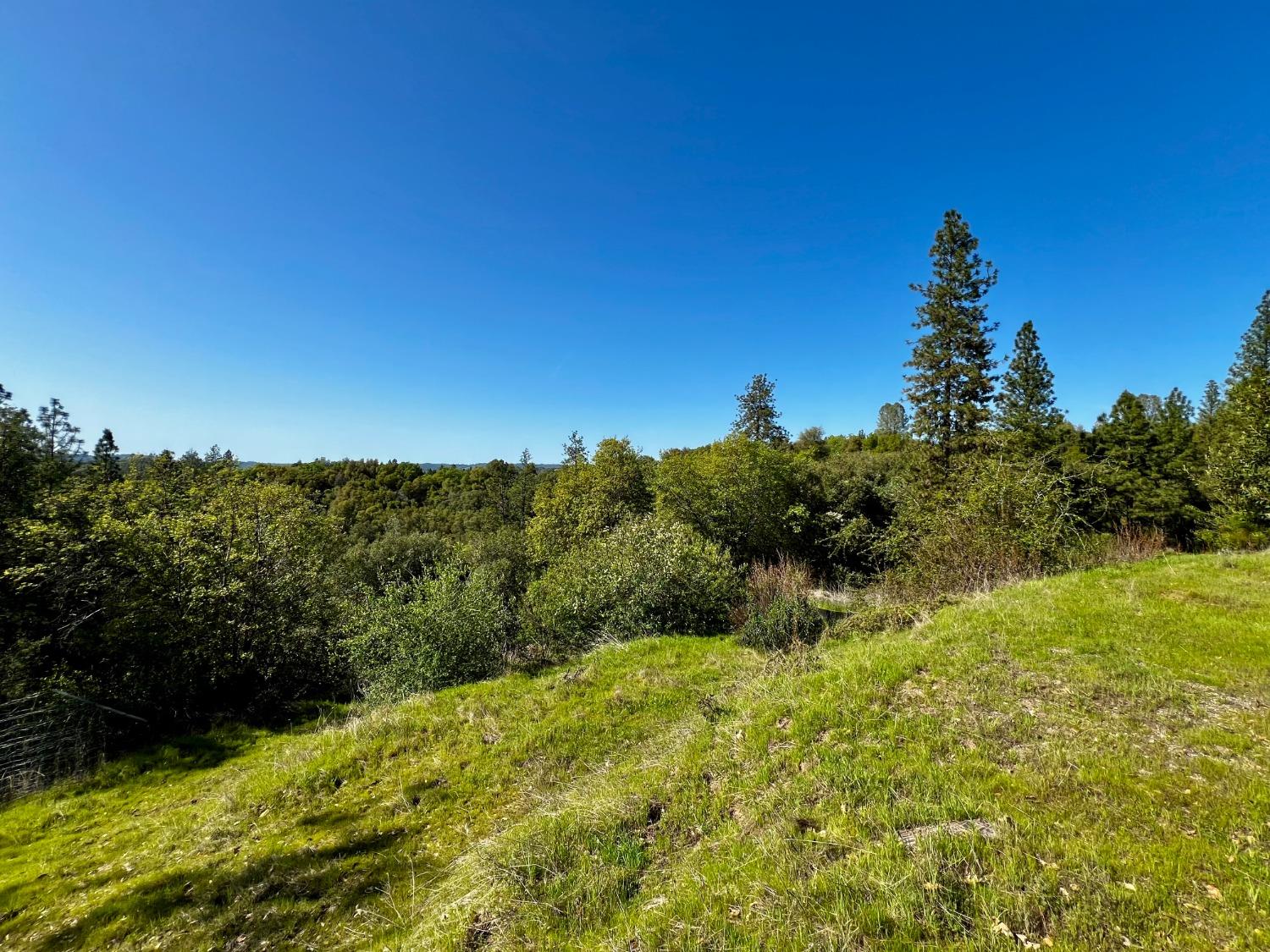 6294 Gray Rock Road Somerset, CA 95684 - Photo 18 of 35 a view of a yard with a house in the background