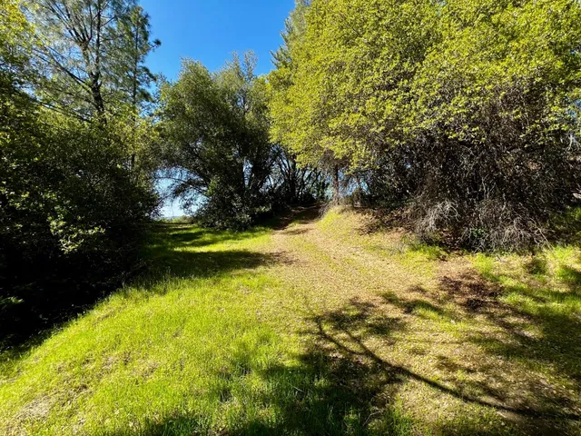 a view of swimming pool from a yard