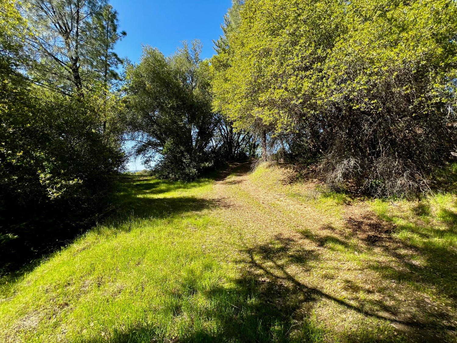 6294 Gray Rock Road Somerset, CA 95684 - Photo 20 of 35 a view of swimming pool from a yard