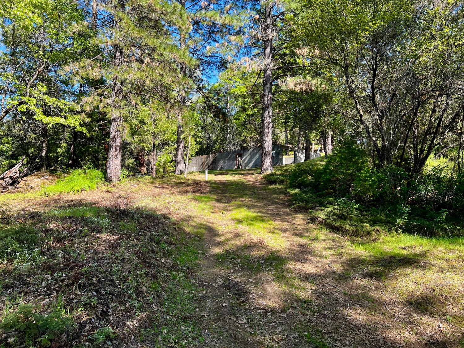 6294 Gray Rock Road Somerset, CA 95684 - Photo 22 of 35 a view of a yard with a tree
