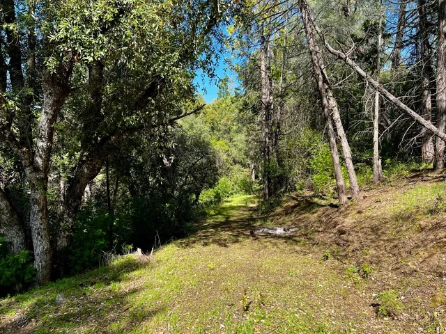 a backyard of a house with lots of green space