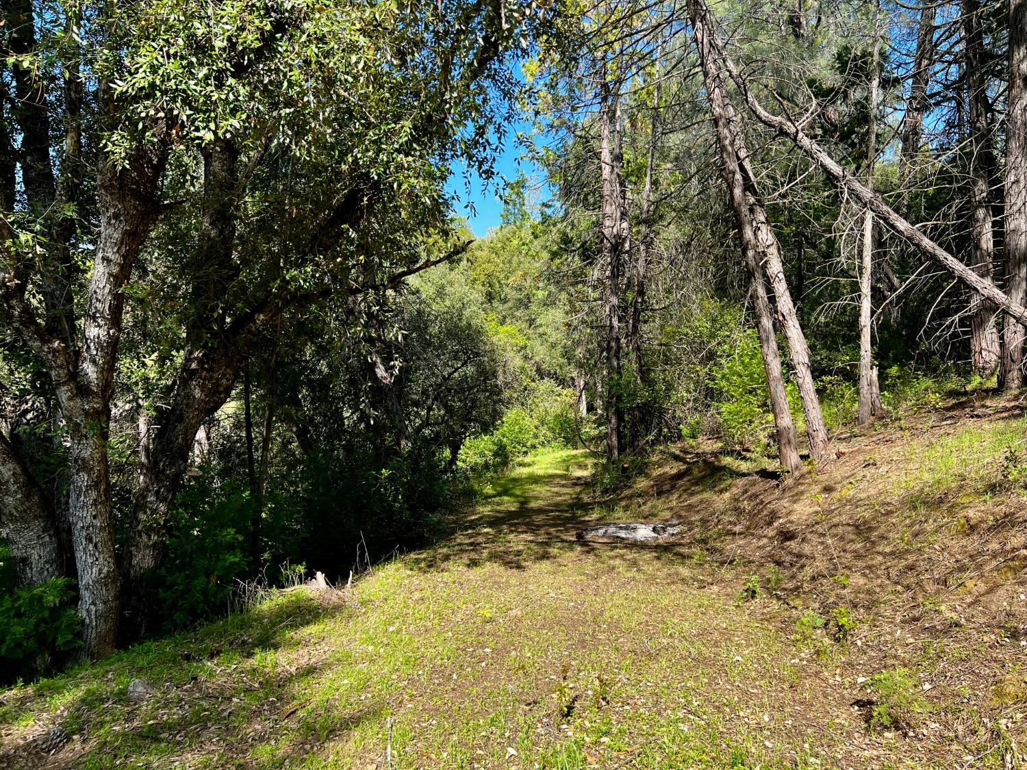 6294 Gray Rock Road Somerset, CA 95684 - Photo 24 of 35 a backyard of a house with lots of green space