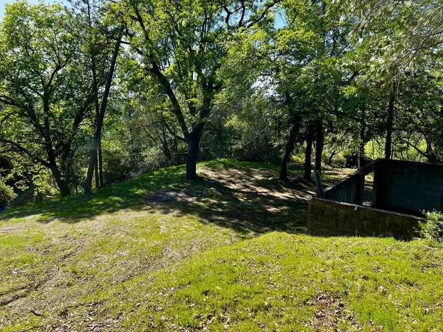 a view of a yard with trees