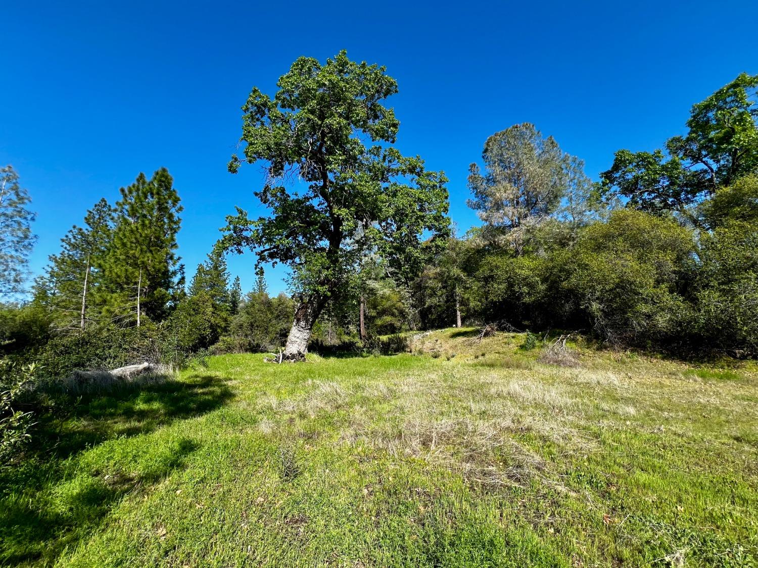 6294 Gray Rock Road Somerset, CA 95684 - Photo 29 of 35 a backyard of a house with lots of green space