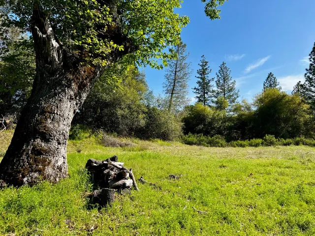 a backyard of a house with yard and outdoor seating