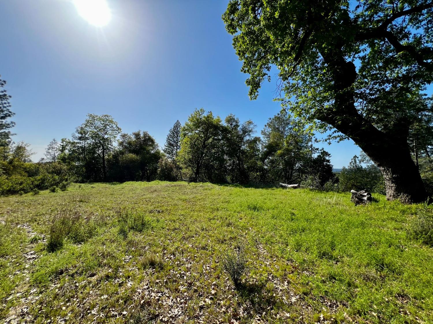 6294 Gray Rock Road Somerset, CA 95684 - Photo 32 of 35 a view of a garden