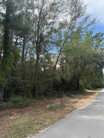 $17,000 | Tbd Sequoia Lane, Onalaska, TX 77360