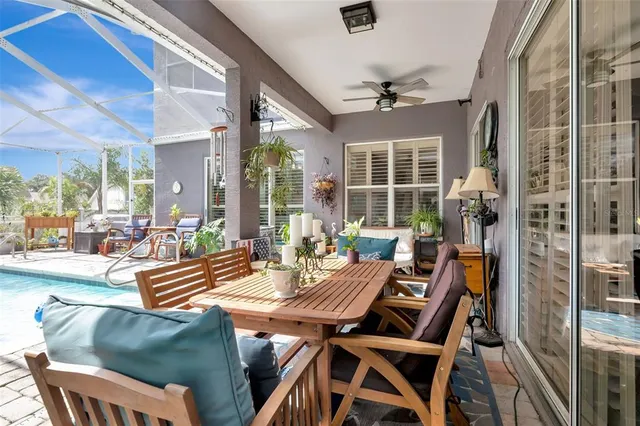a view of a park with large trees