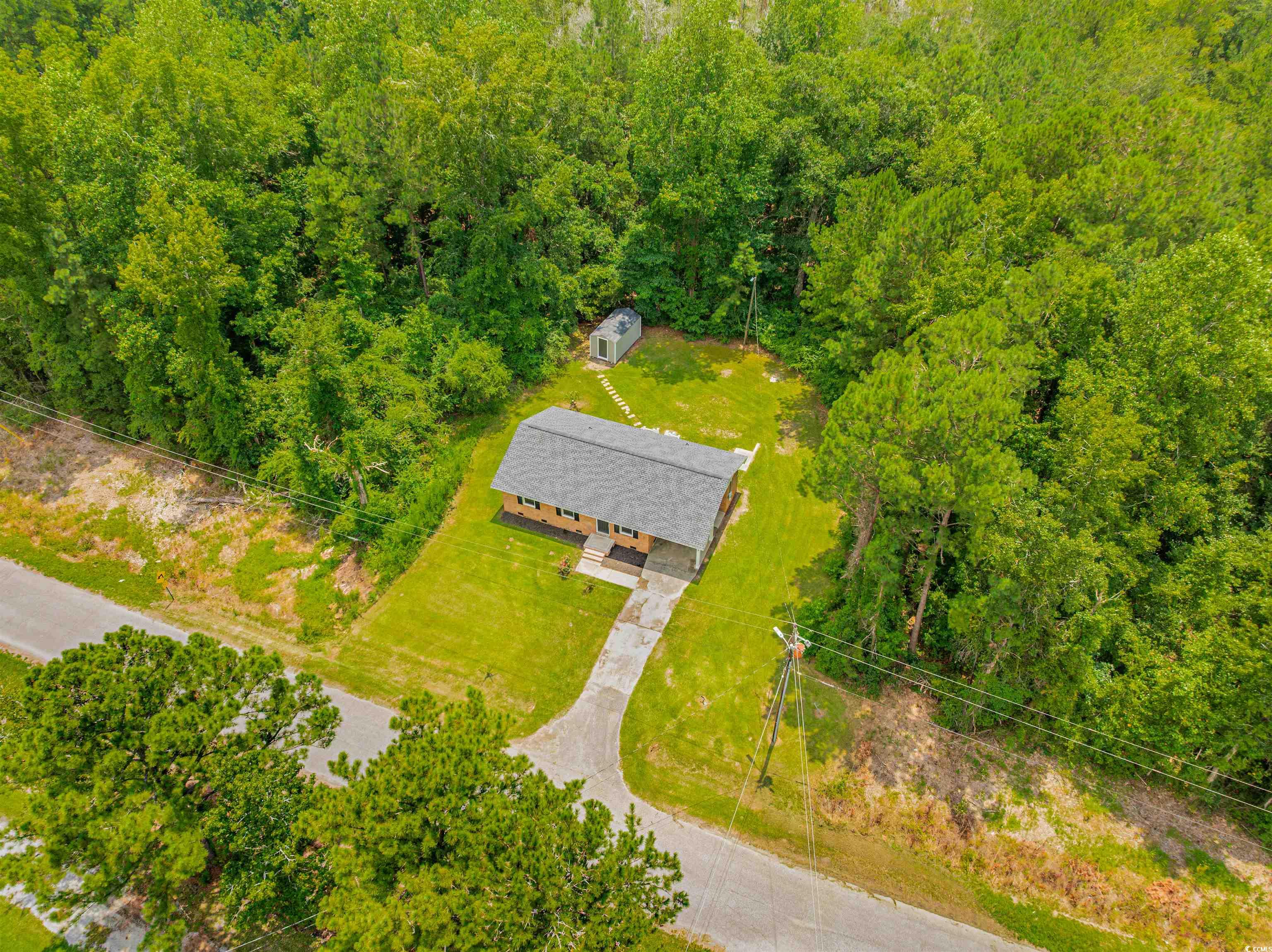 111 Spring Pond Road Hemingway, SC 29554 - Photo 3 of 40