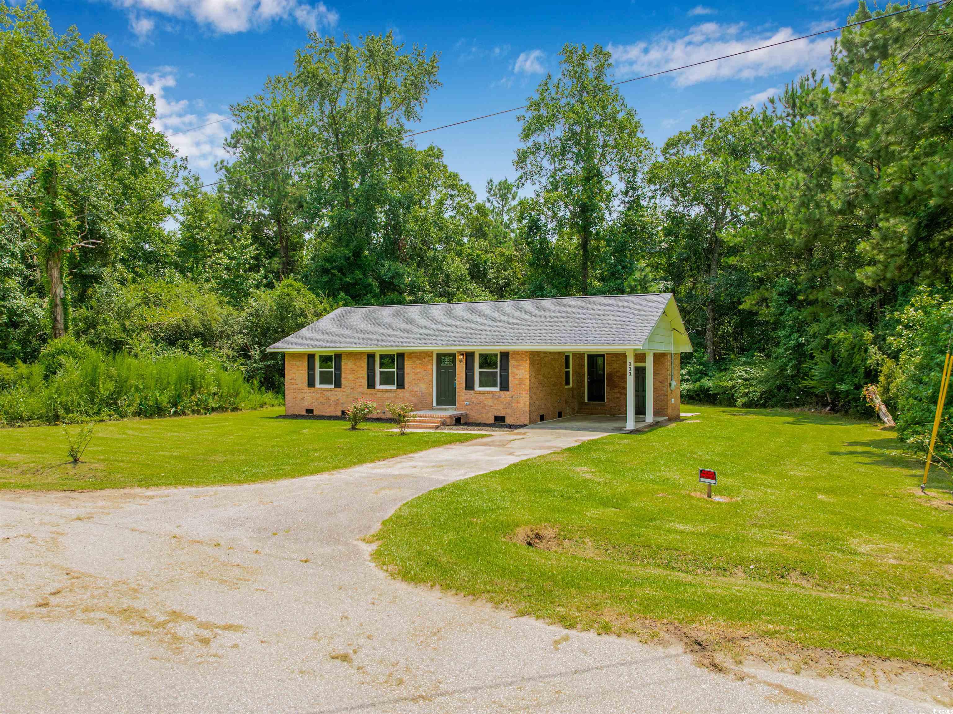 111 Spring Pond Road Hemingway, SC 29554 - Photo 34 of 40