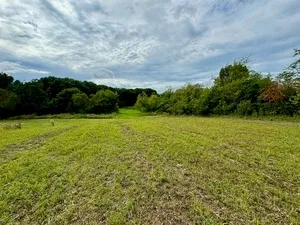 a view of a field with a lake