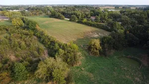 a view of a garden with a building in the background