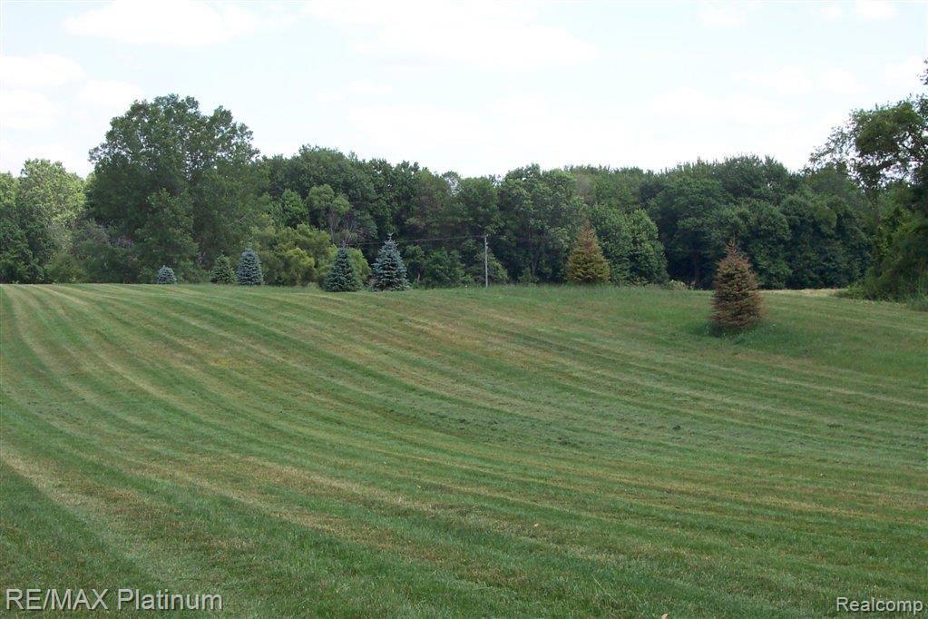 1201 Argentine Road Howell, MI 48843 - Photo 8 of 12 Nice Slope, poss Walk Out.JPG,Ni