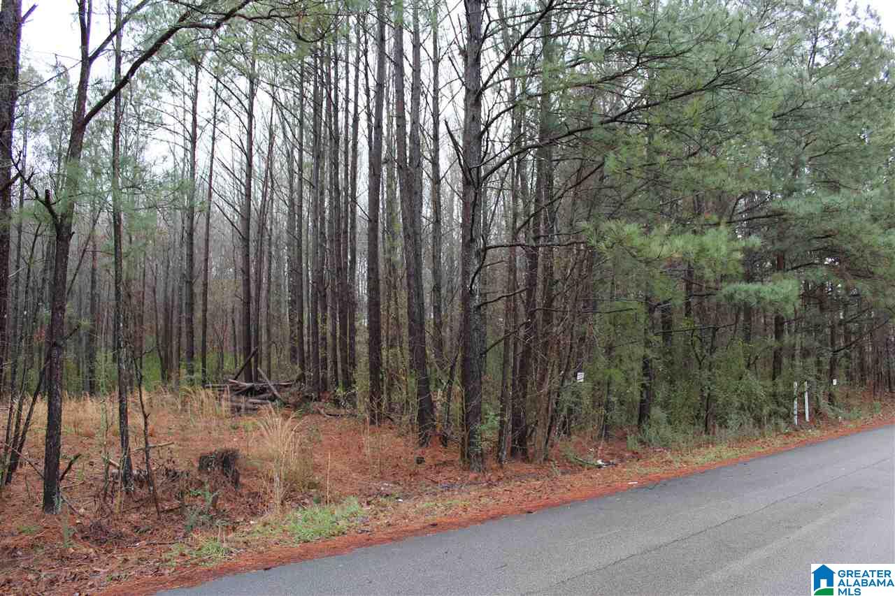 0 Fitzgerald Road Oxford, AL 36203 - Photo 7 of 44