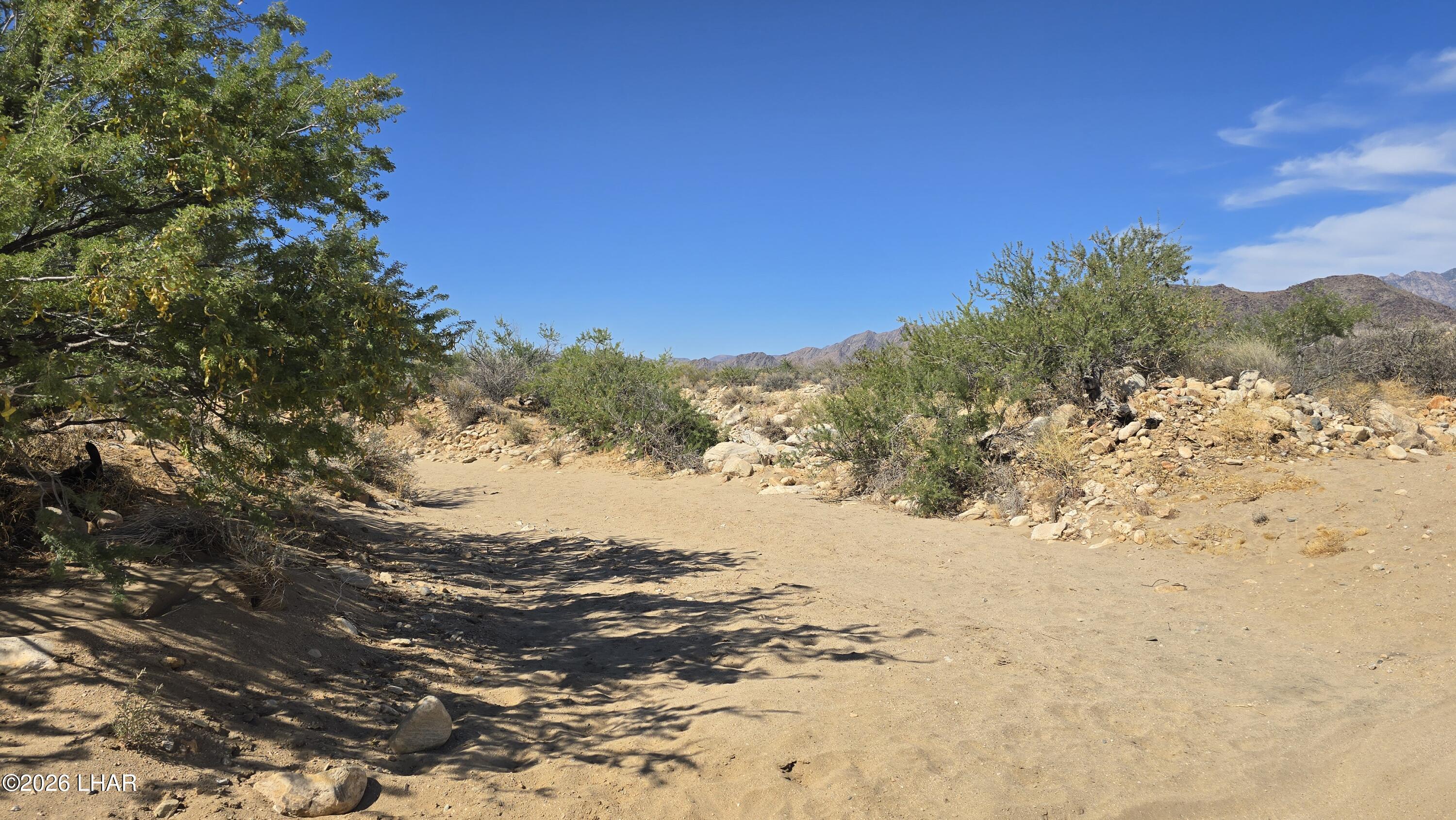 208-21-374 Lorton Road Yucca, AZ 86438 - Photo 10 of 33
