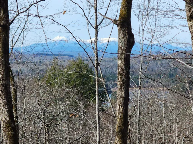 $50,000 | Lot 5 Dow Farm Rd Island Falls, Island Falls, ME 04747