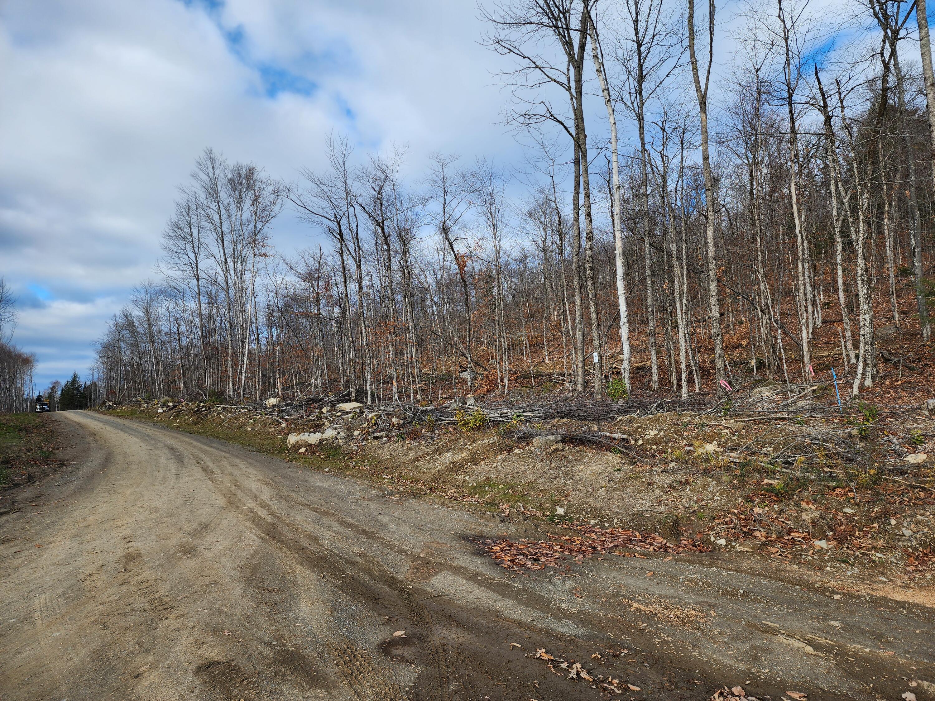 Lot 5 Dow Farm Rd Island Falls Island Falls, ME 04747 - Photo 3 of 16 20251102_133922