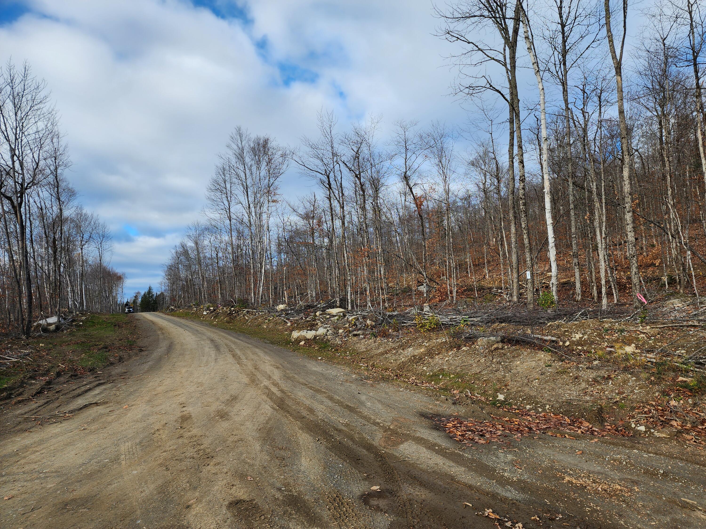 Lot 5 Dow Farm Rd Island Falls Island Falls, ME 04747 - Photo 7 of 16 20251102_133927