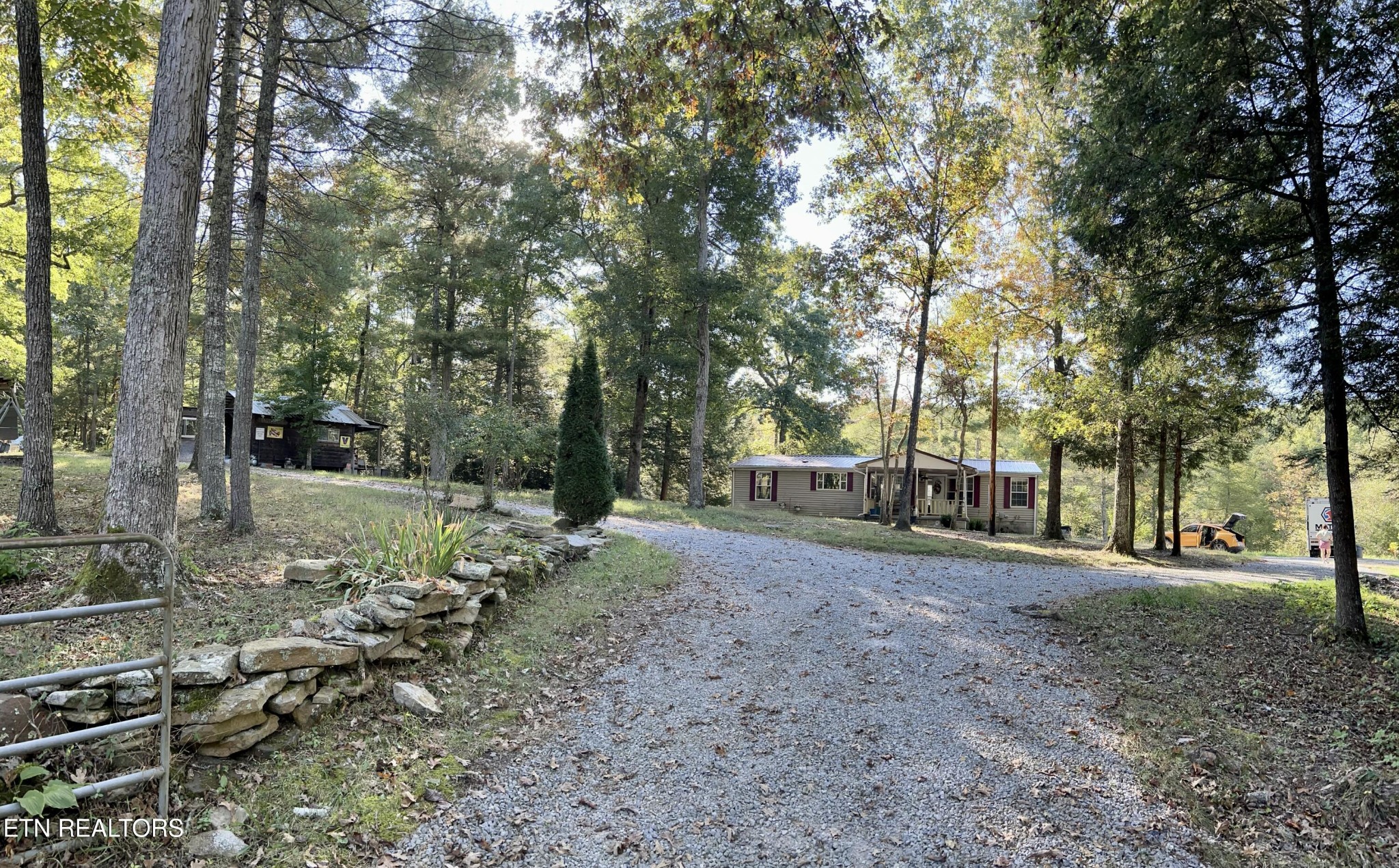 123 Doc Huling Road Robbins, TN 37852 - Photo 11 of 23 a view of a forest with trees