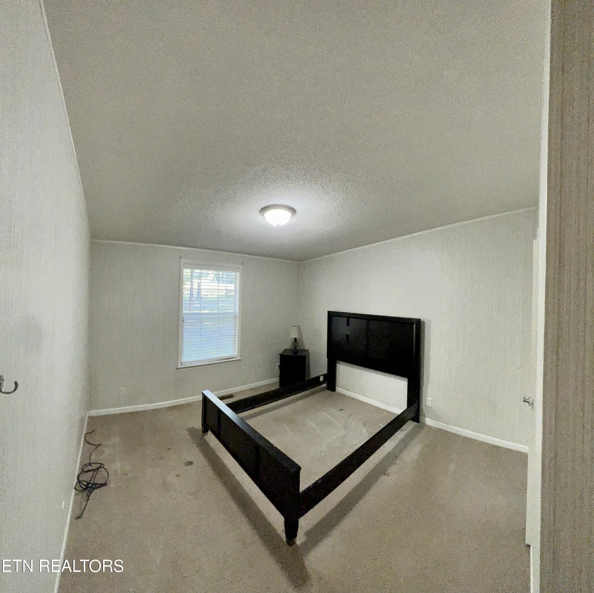 123 Doc Huling Road Robbins, TN 37852 - Photo 16 of 23 a living room with a rug