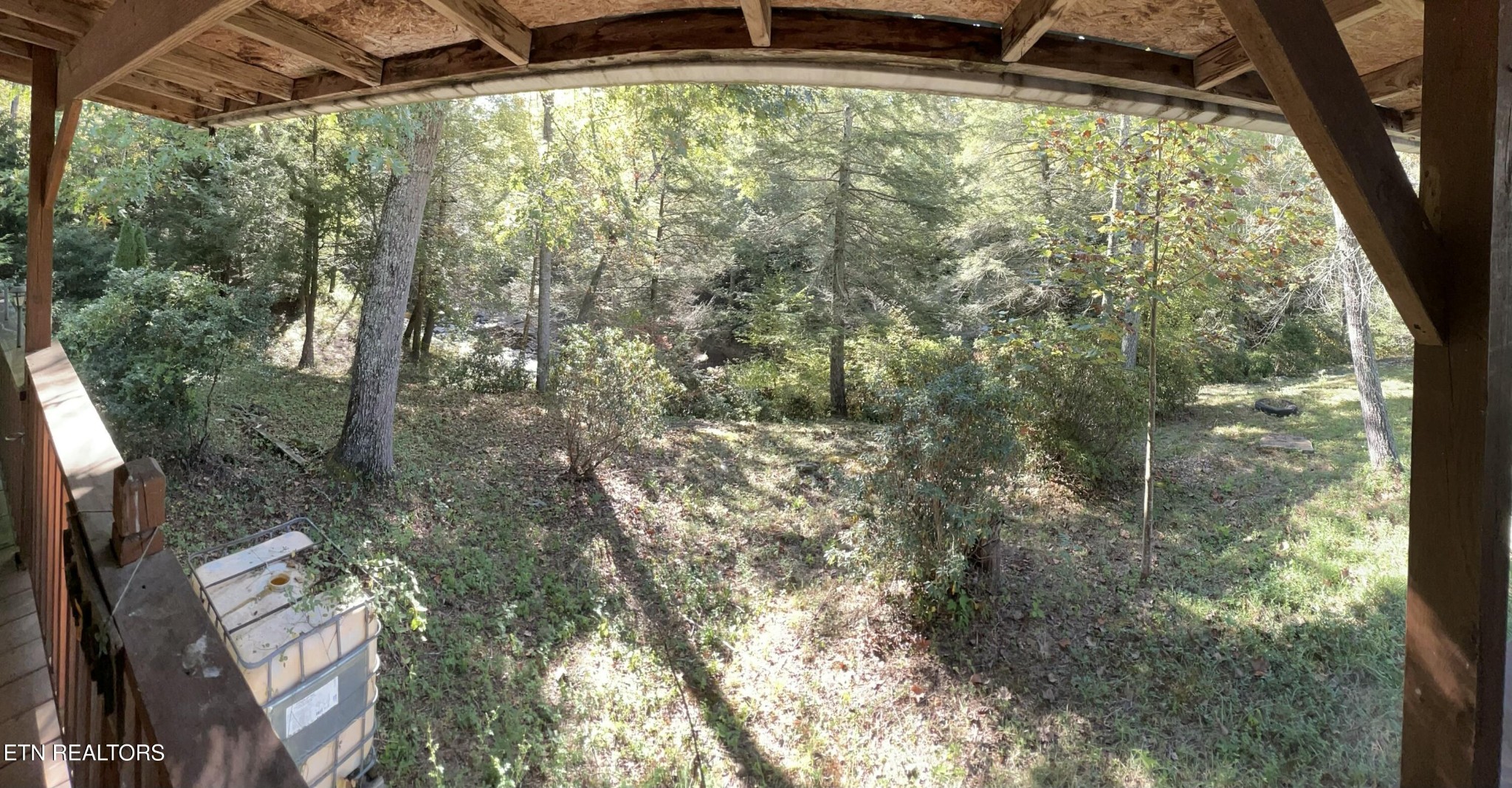 123 Doc Huling Road Robbins, TN 37852 - Photo 17 of 23 a view of a yard from a window