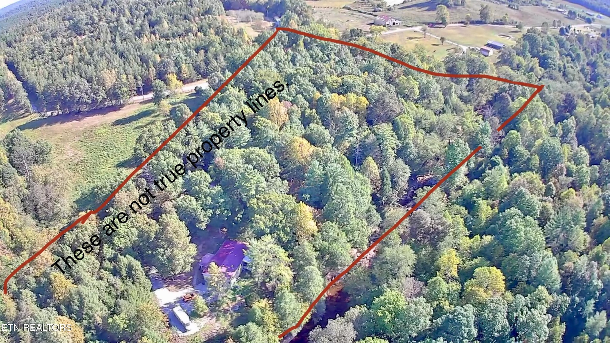 123 Doc Huling Road Robbins, TN 37852 - Photo 18 of 23 a picture of flowers