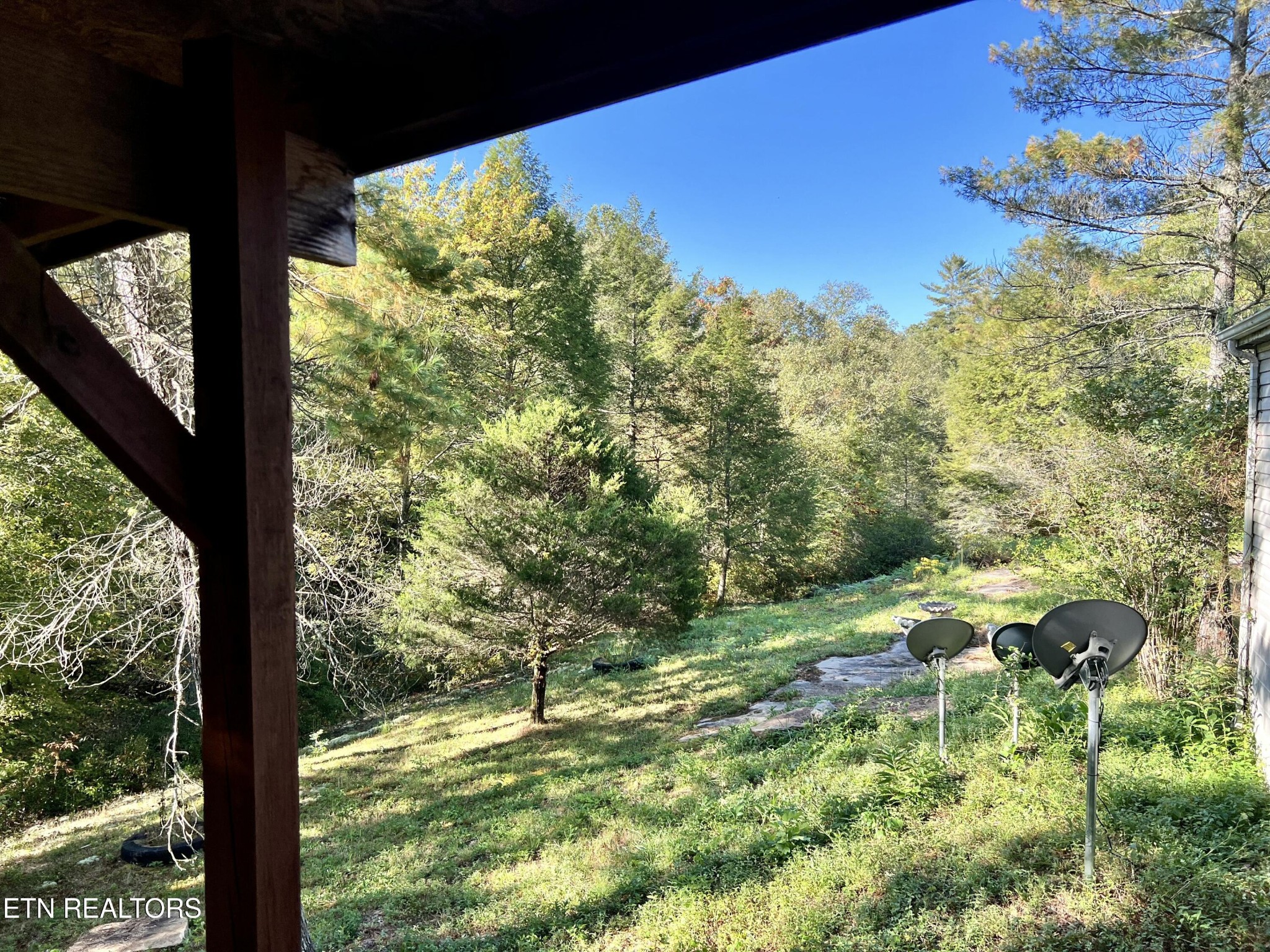 123 Doc Huling Road Robbins, TN 37852 - Photo 8 of 23 a backyard of a house with lots of green space