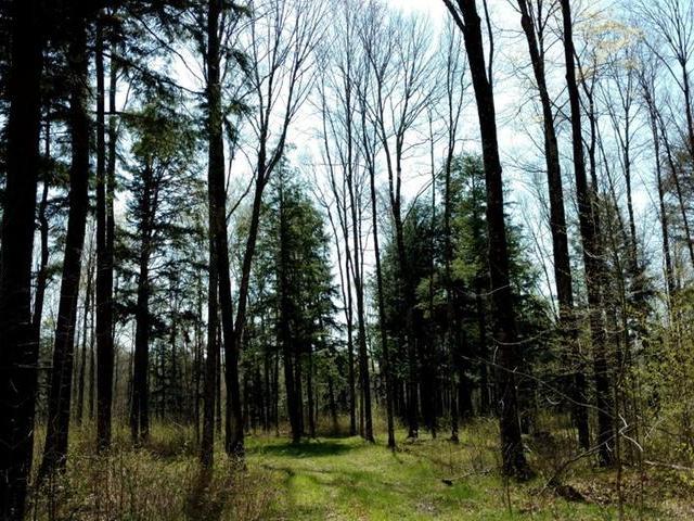 On Power Line Road Phillips, WI 54555 - Photo 10 of 20 Gallery Image 10