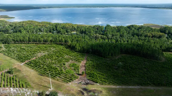 a view of a yard with an outdoor space
