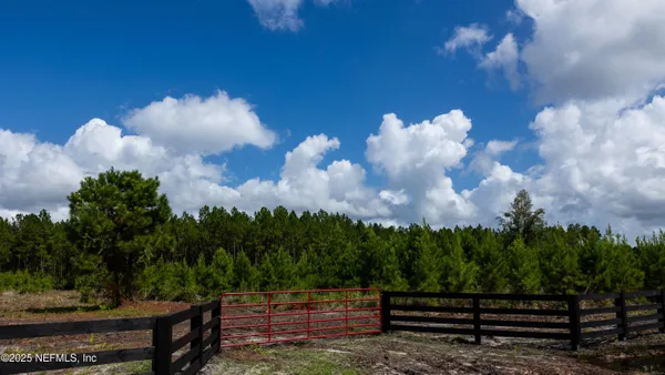 a view of a yard