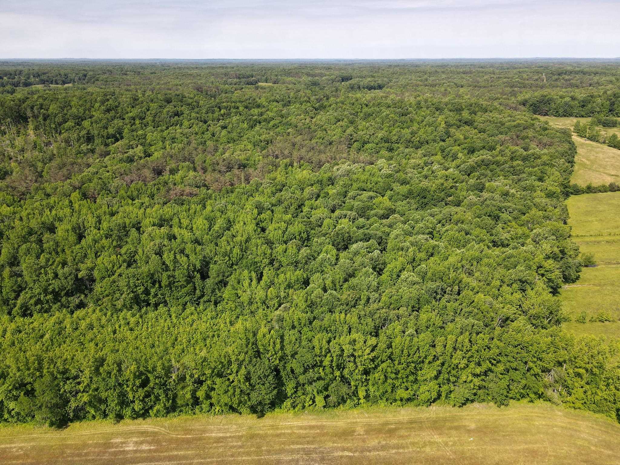 1 Carter Road Saltillo, TN 38370 - Photo 38 of 40 a view of a city with lush green forest