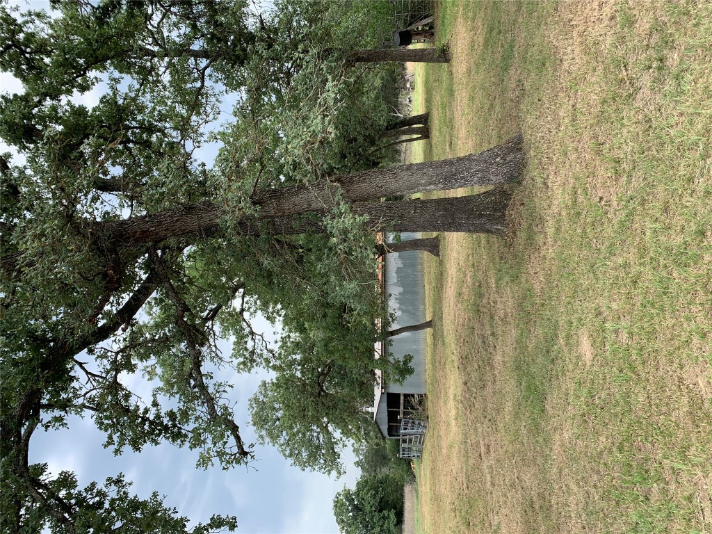 276 Ott Road Rosanky, TX 78953 - Photo 13 of 27 a view of a yard