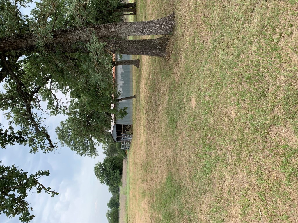 276 Ott Road Rosanky, TX 78953 - Photo 15 of 27 a view of a yard with a tree